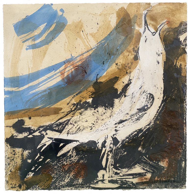FRANCES HATCH EARTH GULL ARTIST PROOF 4