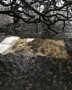Frances Hatch Truth of Water 2