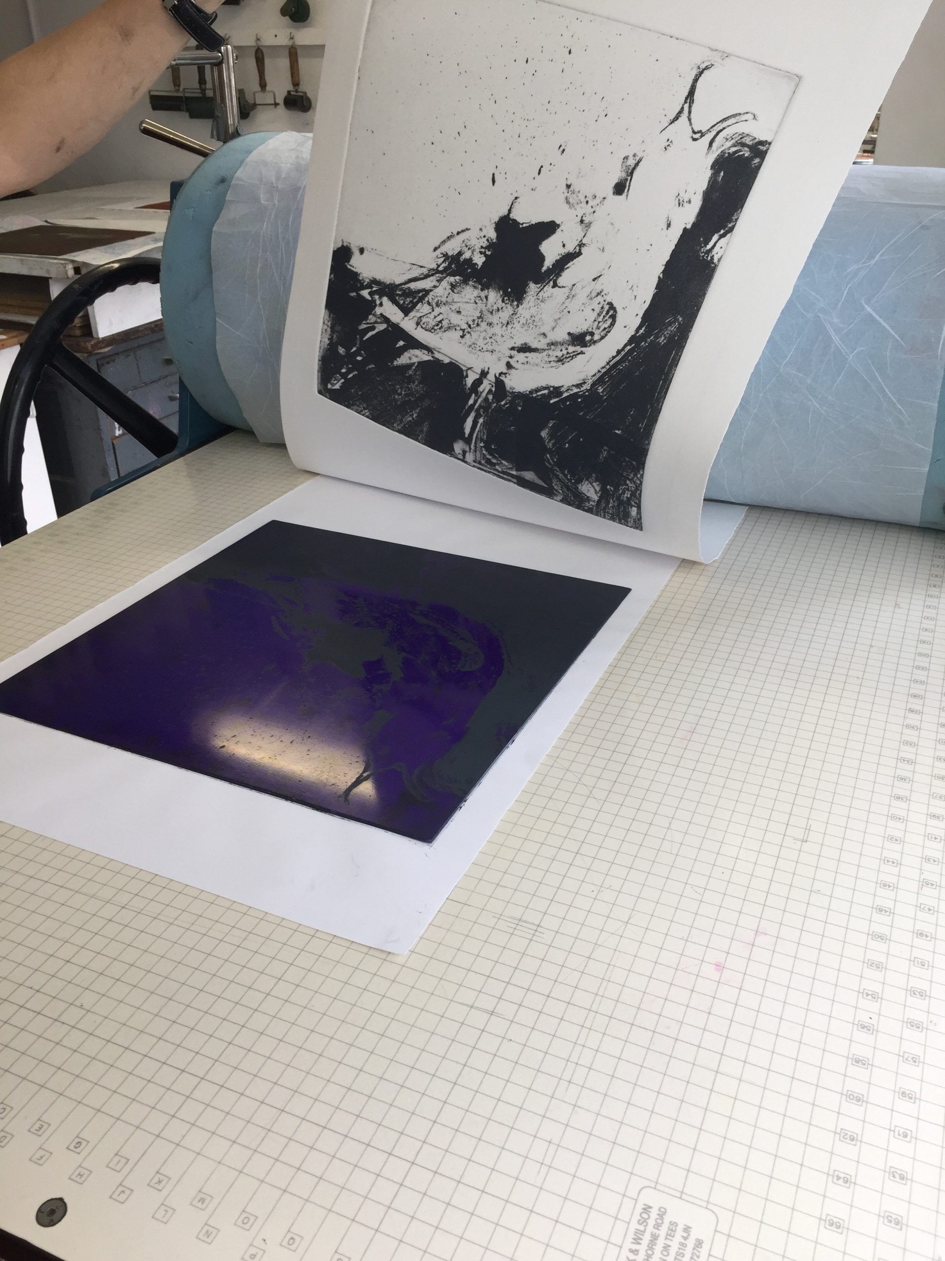 EARTH GULL: ARTIST PROOF (4) - Image 4
