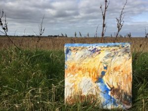 Norfolk Spring 2016 TITCHWELL 11