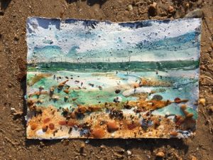 Norfolk Spring 2016 TITCHWELL 6