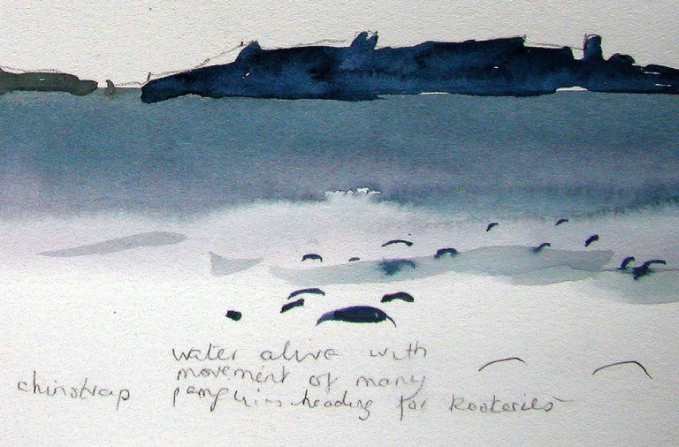 ON LOCATION SOUTH SHETLAND ISLANDS passing sketchbook