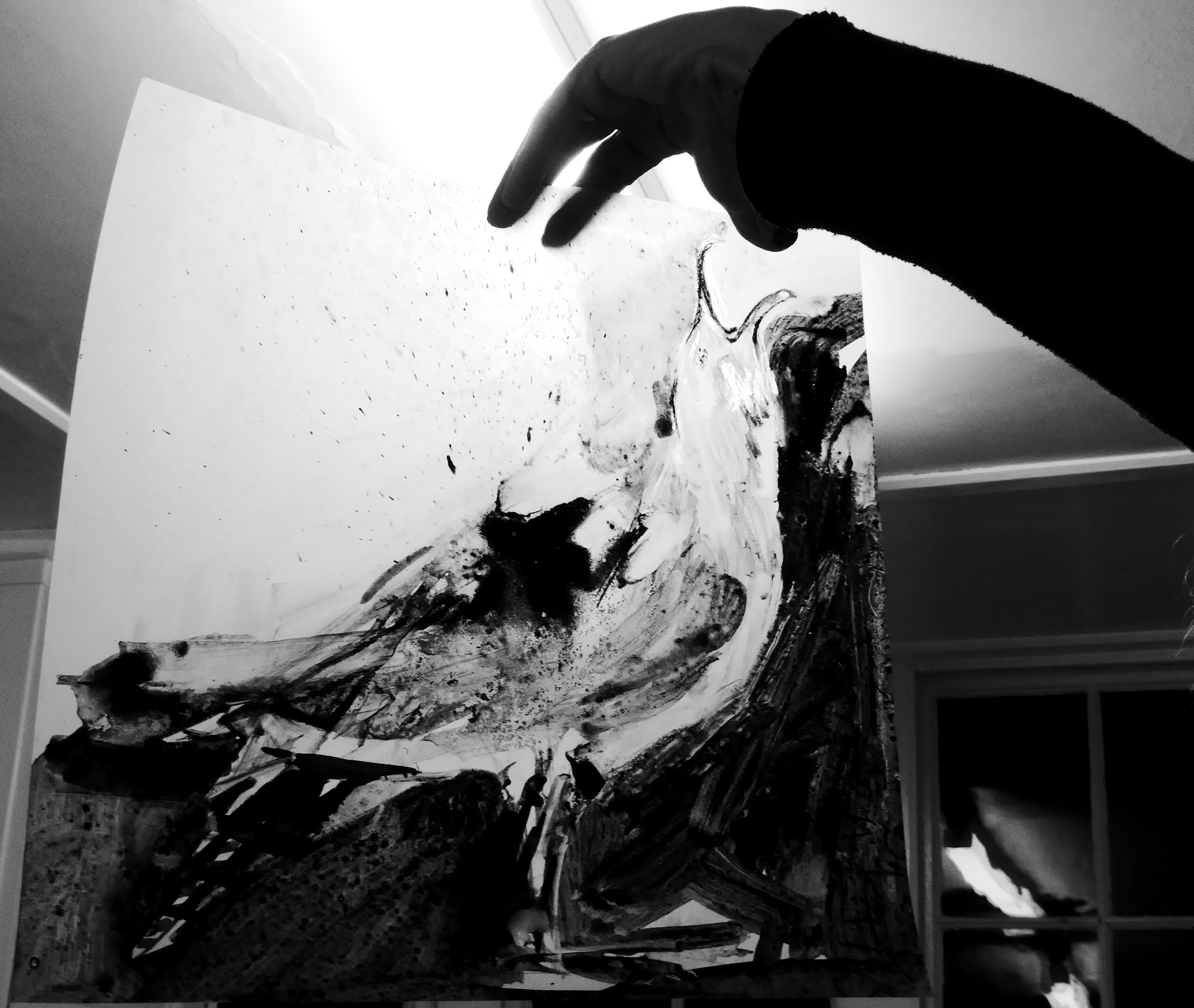 EARTH GULL ARTIST PROOF (5) - Image 3