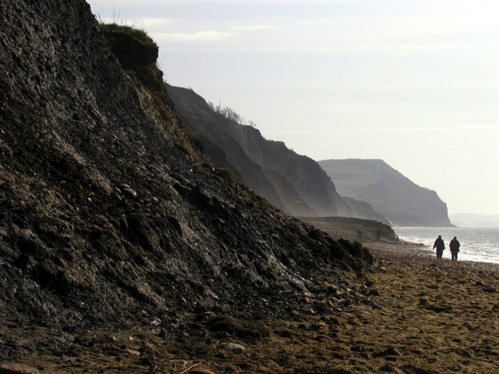 DAY MOON, CHARMOUTH - Image 2