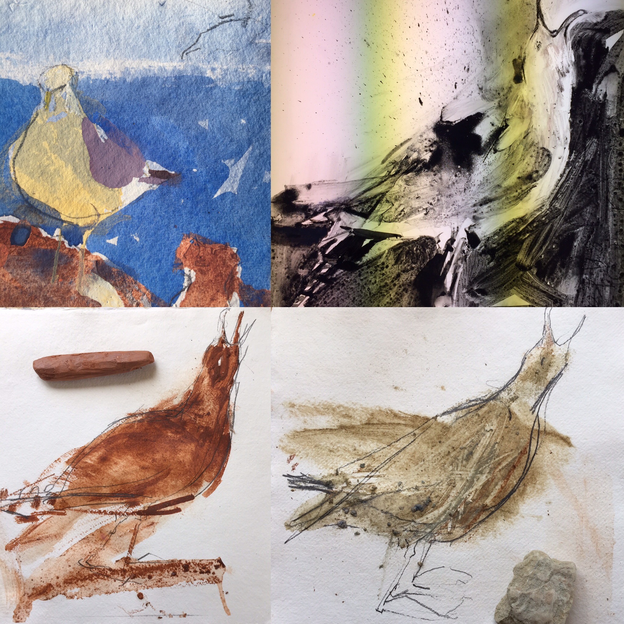 EARTH GULL: ARTIST PROOF (4) - Image 2