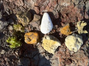 A gathered palette of sands and quartz from South Beach, Studland.