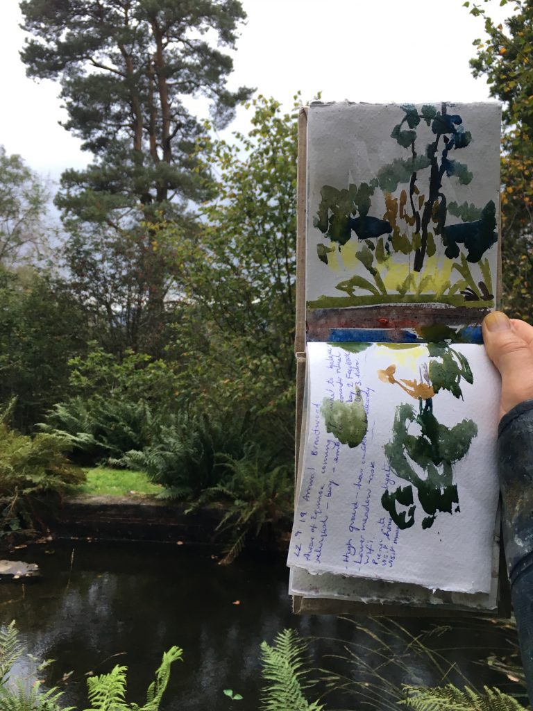 BRANTWOOD GARDENS- SKETCHBOOK- FRANCES HATCH