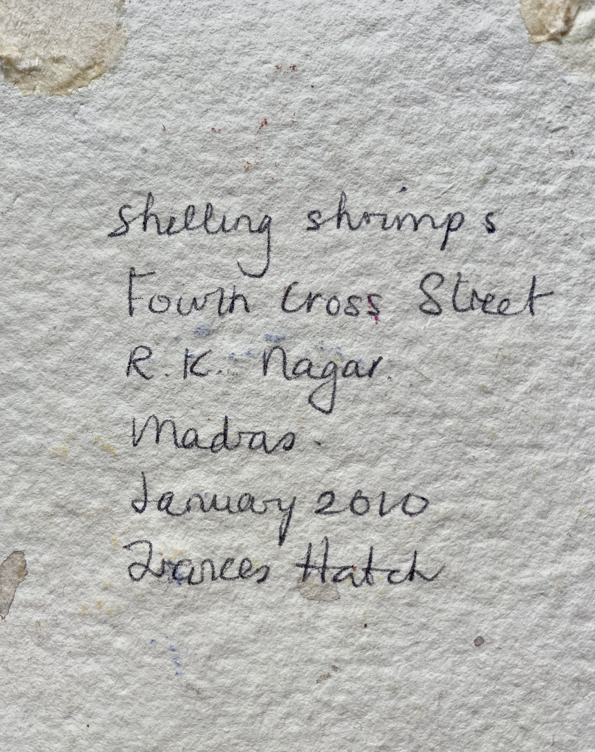 SHELLING SHRIMPS. Chennai. India. January 2010. - Image 2