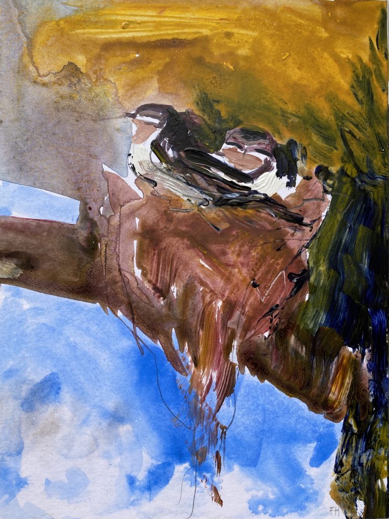 Nesting Swallows