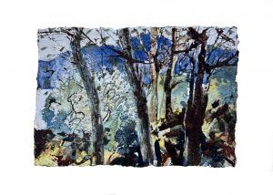Frances Hatch Artcard Brantwood Northern Garden