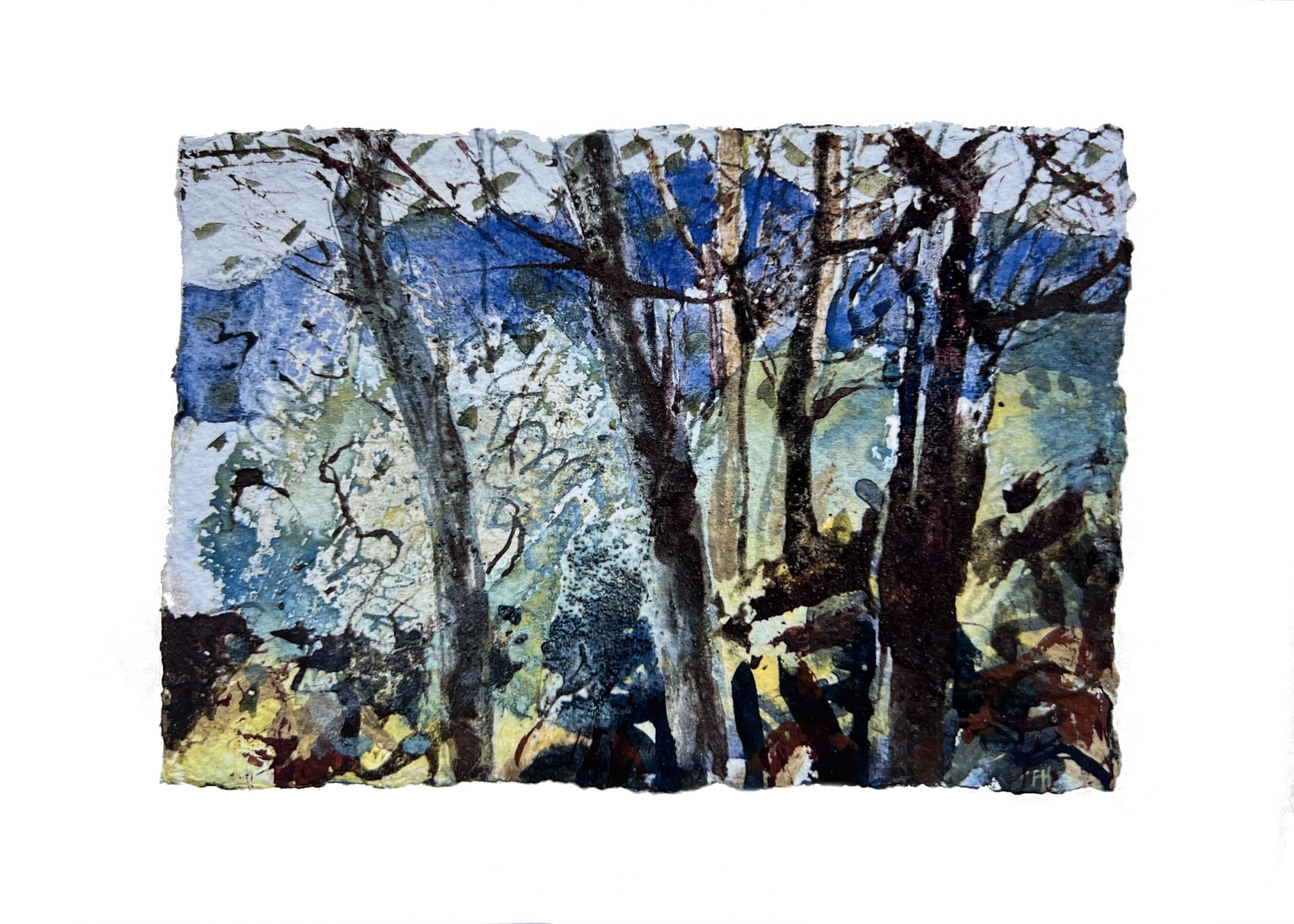 Frances Hatch Artcard Brantwood Northern Garden