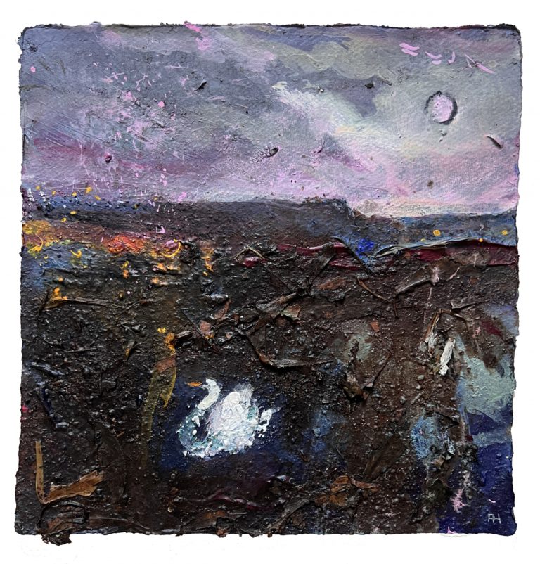 Wetland Nocturne