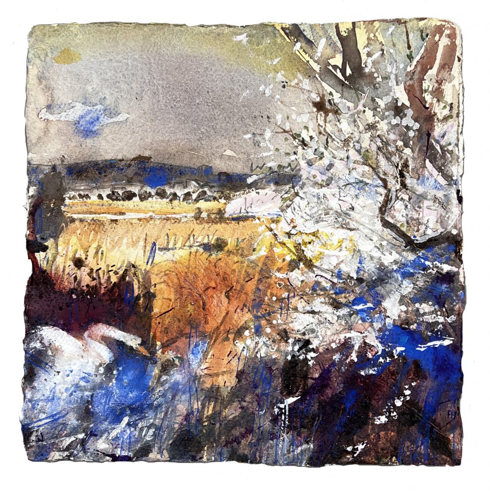Frances Hatch Blackthorn Swan