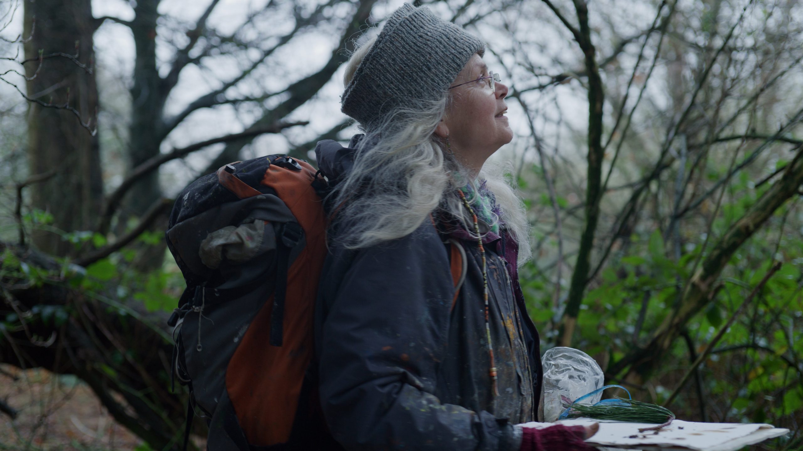 In the thicket — Weather is neither good nor bad. It simply is.